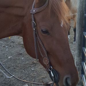 Meet your Posher, Colleen